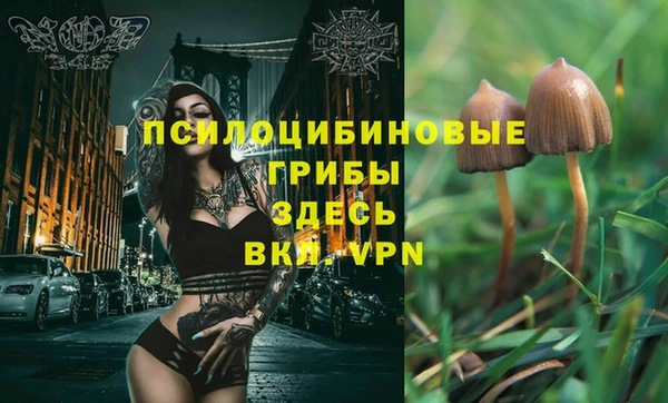 индика Бронницы
