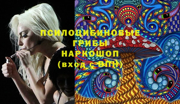 ГАЛЛЮЦИНОГЕННЫЕ ГРИБЫ Верхний Тагил