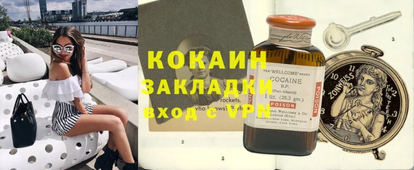 индика Бронницы