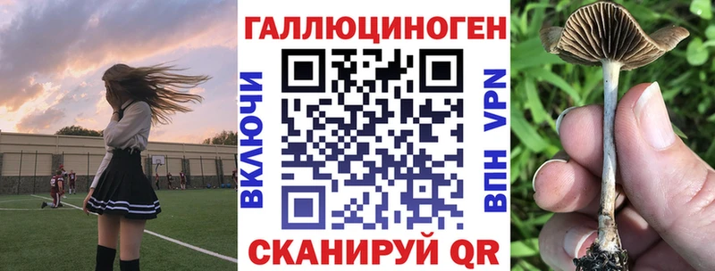 Галлюциногенные грибы Cubensis где можно купить Воткинск